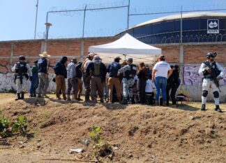 Búsqueda en campo en el Cerro del Cuatro: localizan resto óseo en el operativo por Héctor Adrián Águila Corona