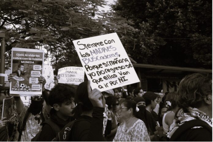 Imagen 1.2jpg