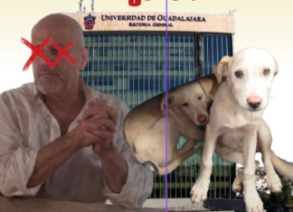 Profesor de la UdeG es señalado en investigación por presunto maltrato animal en Saltillo, comunidad universitaria exige un pronunciamiento institucional