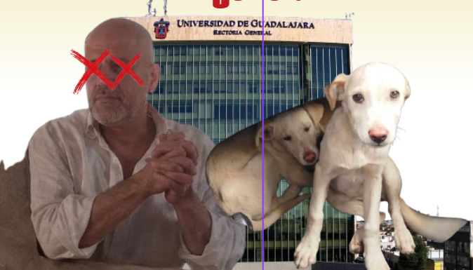 Profesor de la UdeG es señalado en investigación por presunto maltrato animal en Saltillo, comunidad universitaria exige un pronunciamiento institucional