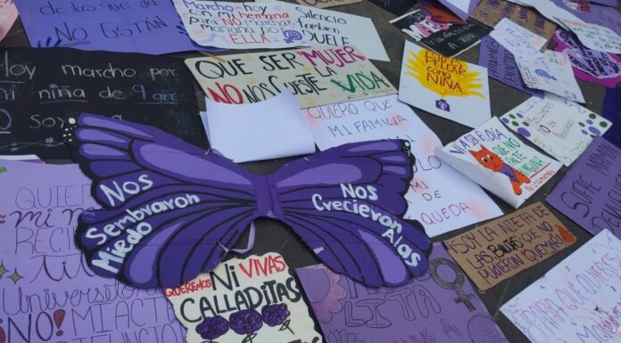 Justicia para Goretti: entre omisiones, revictimización y un sistema que sigue fallando a las víctimas